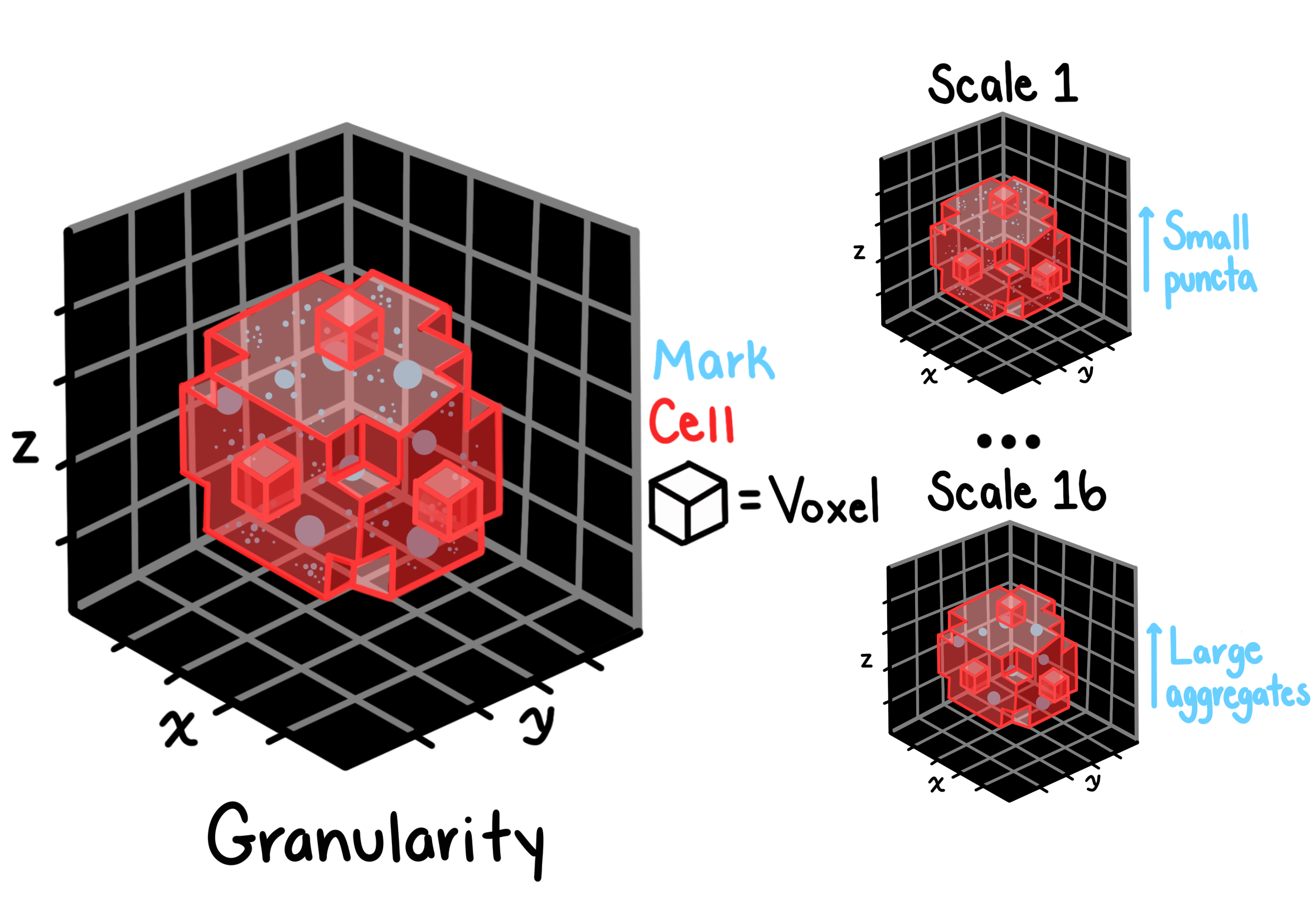 Granularity